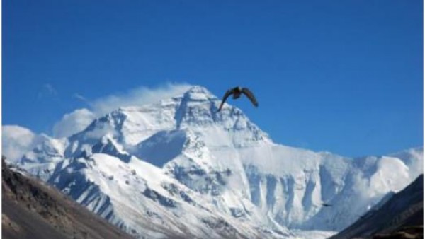 福特撼路者柴油国五已出 动力澎湃远超普拉多