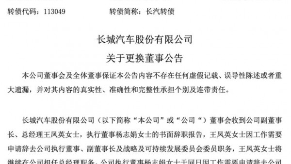 长城汽车有限公司关于更换董事的公告