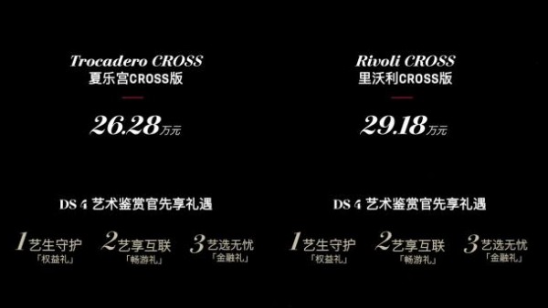 售价26.28-29.18万元 全新DS 4正式上市