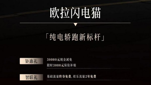 闪电猫/好猫等 欧拉至高现金减免3万元
