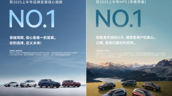 2025上半年新能源汽车品牌健康度：问界蝉联品牌发展信心指数第一