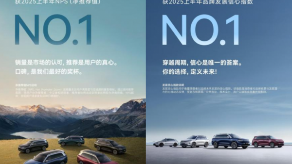 权威认证！问界M9斩获净推荐值总榜冠军