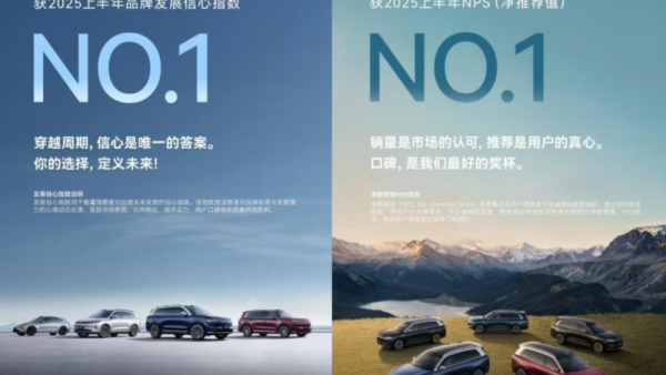持续领跑新能源市场！问界蝉联品牌发展信心指数第一