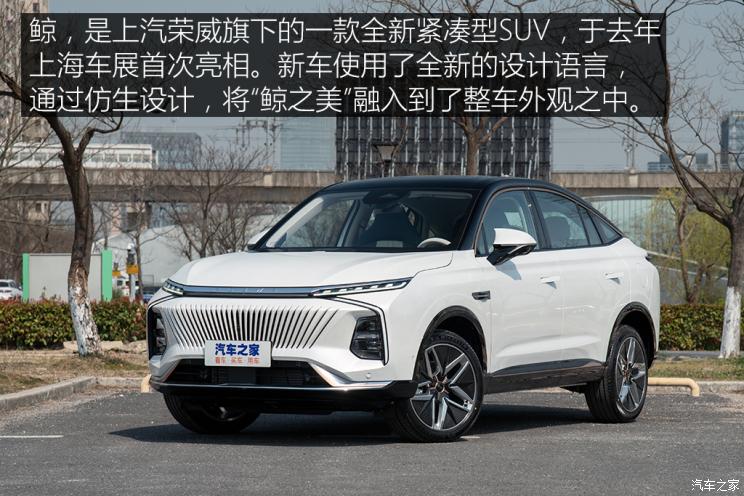 上汽集团 鲸 2022款 2.0T 蓝鲸版