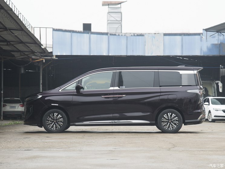 一汽红旗 红旗HQ9 PHEV 2024款 20TD 基本型